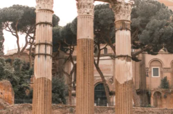 La città dei gatti è anche a Roma